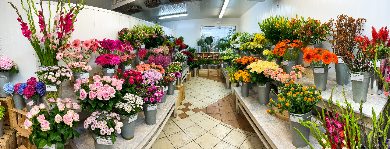 Chladící box pano